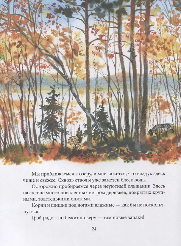 Книга Тайны сентября (Евгения Чарушина-Капустина) — 4