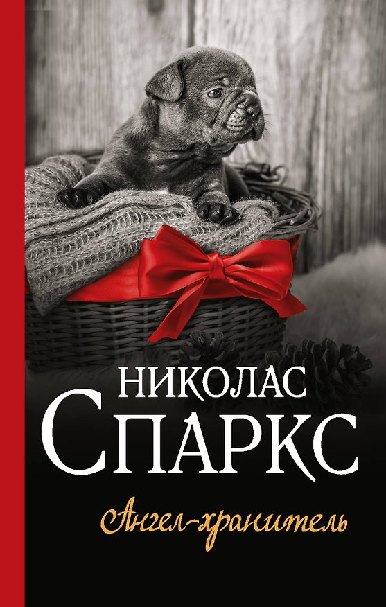 Книга Ангел-хранитель (Николас Спаркс) — 1