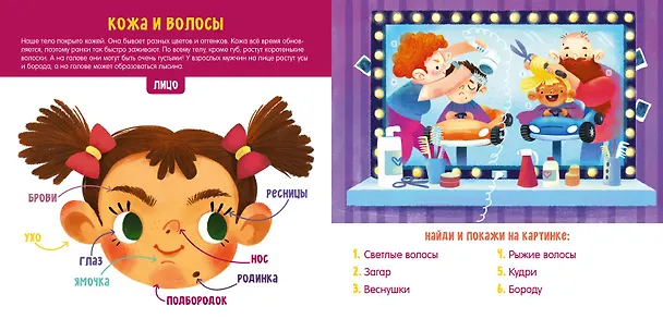 Книга Мое тело. Визуальный словарь (Анна Парамонова) — 4