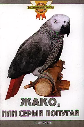 Жако, или Серый попугай. (цвет.) — 2187465 — 1