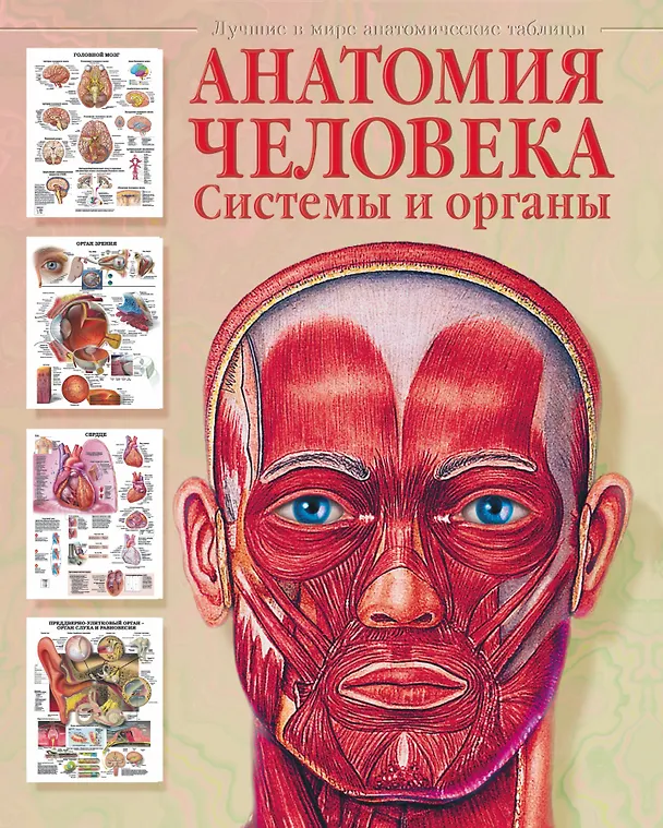 Книга Анатомия человека. Системы и органы (Евгения Махиянова) — 1