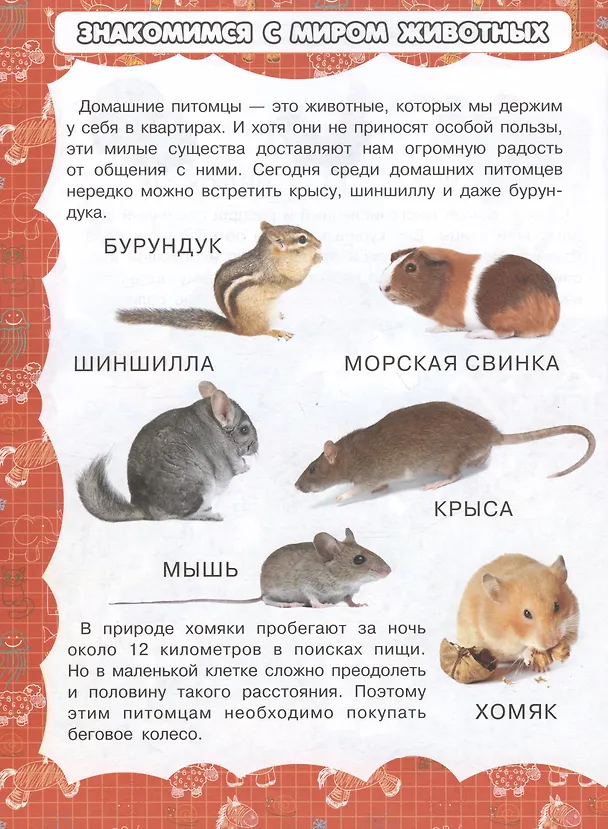 Книга Животные (Игорь Резько) — 5