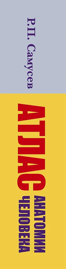 Книга Атлас анатомии человека: Учеб. пособие для студентов учреждений сред. профессион. образования (Рудольф Самусев) — 3