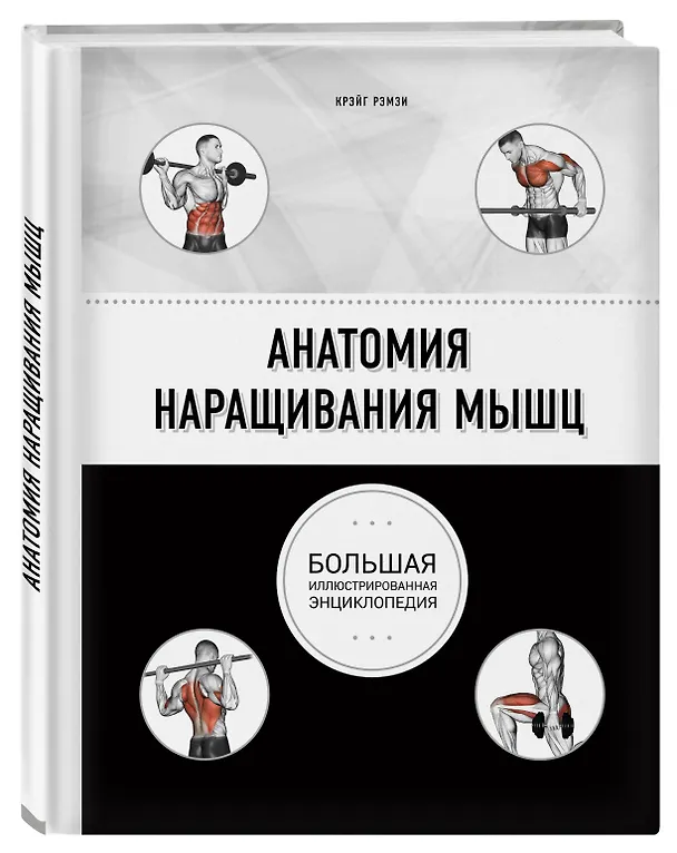 Книга Анатомия наращивания мышц (Крэйг Рэмзи) — 4