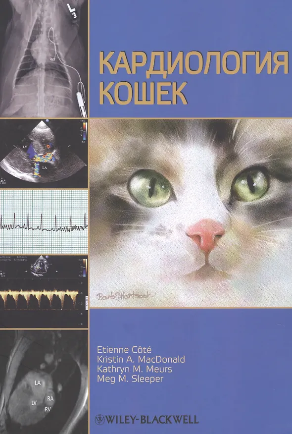 Книга Кардиология кошек () — 1