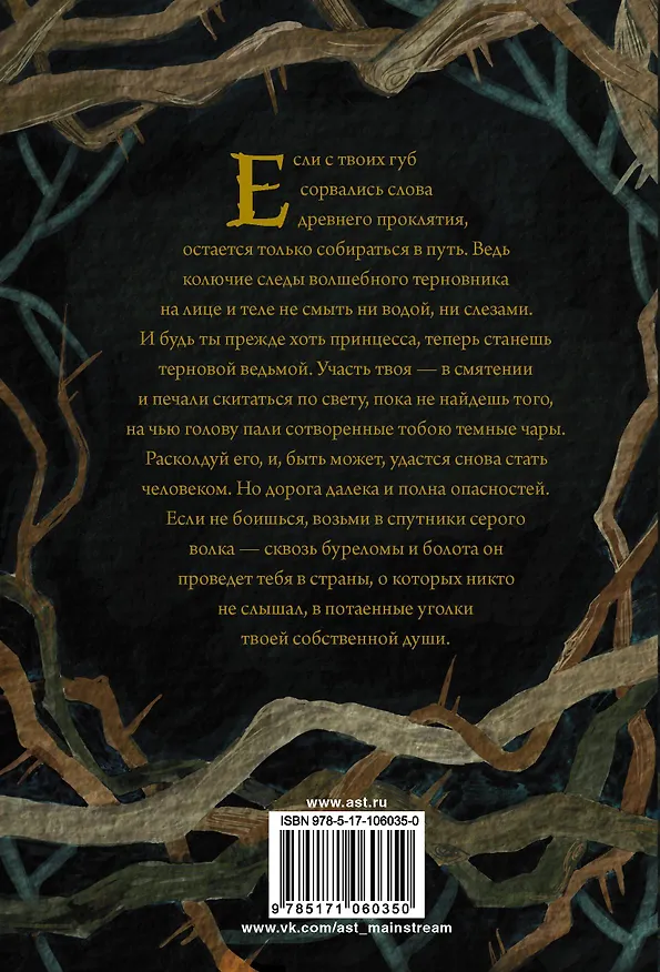 Книга Терновая ведьма. Изольда (Евгения Спащенко) — 2
