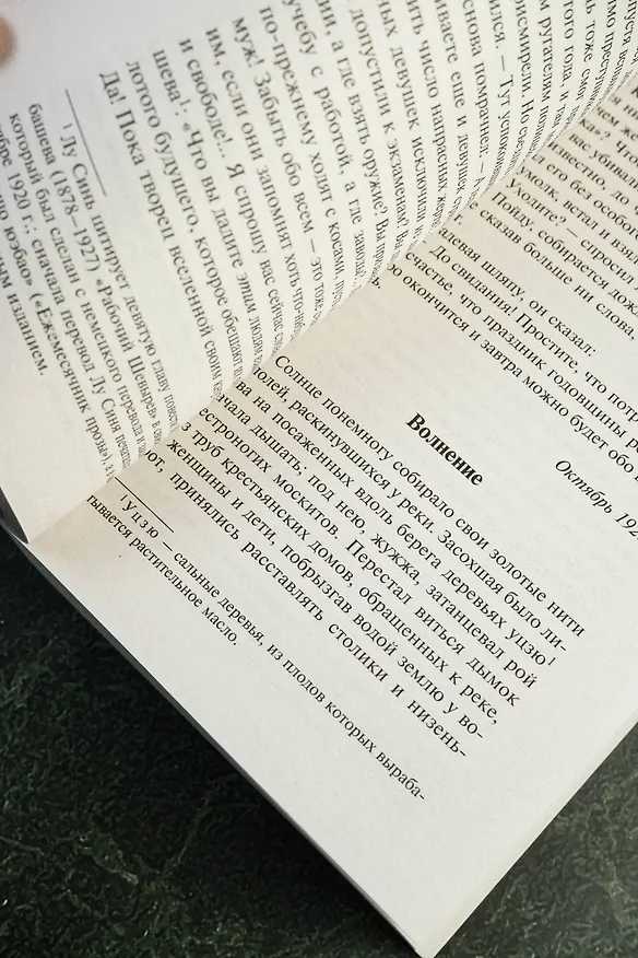 Книга Записки сумасшедшего (Синь Лу) — 9