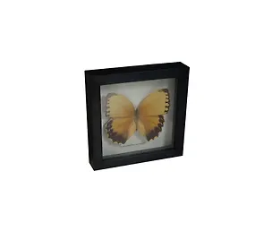 Панно Бабочки, 16,5Х16,5см (101006) 2394200