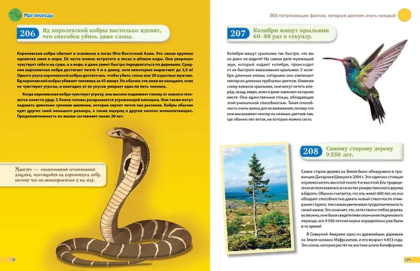 Книга Знаю всё! 365 потрясающих фактов, которые должен знать каждый () — 11