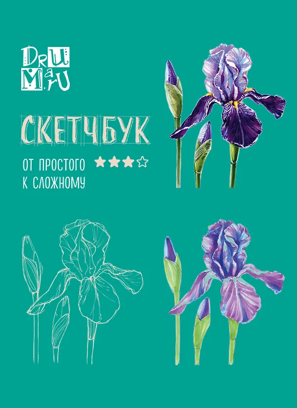 Книга Скетчбук по ботанической иллюстрации. От простого к сложному (Любовь Дрюма) — 2