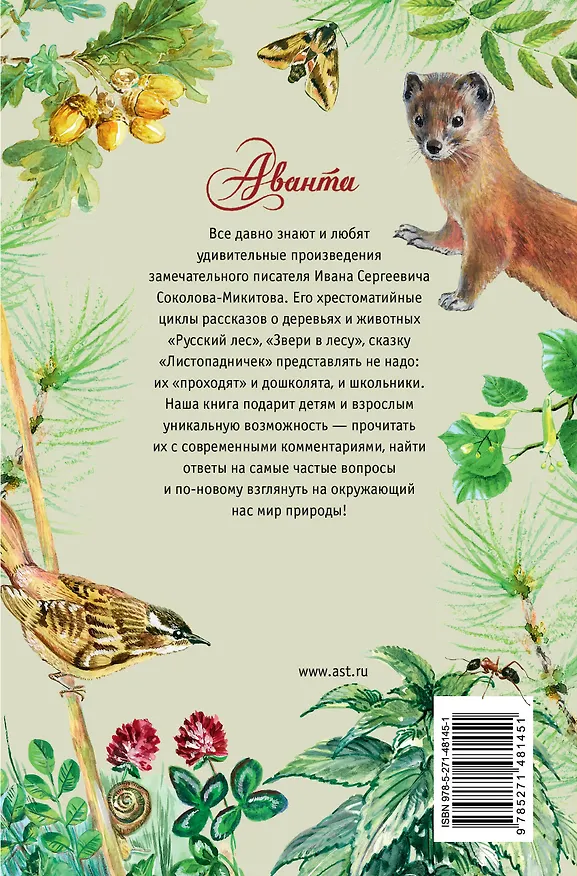 Книга Русский лес (Иван Соколов-Микитов) — 2