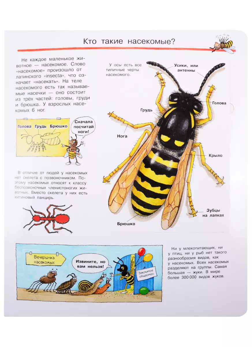 Что? Почему? Зачем? Все о насекомых (с волшебными окошками) - купить книгу  с доставкой в интернет-магазине «Читай-город». ISBN: 978-5-465-03918-5