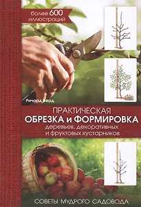 Практическая обрезка и формировка деревьев, декоративных и фруктовых кустарников.