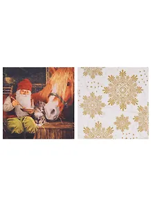 Набор салфеток для декупажа Гном с лошадью 2 шт. (303520/TL610019) (упаковка)