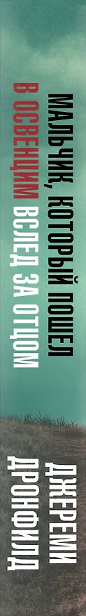 Книга Мальчик, который пошел в Освенцим вслед за отцом. Реальная история (Джереми Дронфилд) — 3