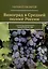 Виноград в Средней полосе России. Секреты северного виноградарства — 3113701 — 1