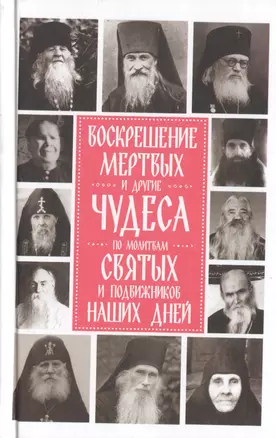 Воскрешение мертвых и другие чудеса по молитвам святых и подвижников наших дней — 2761269 — 1