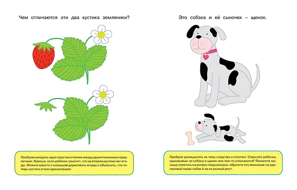 Книга Найди отличия (1-2 года) (Ольга Земцова) — 7
