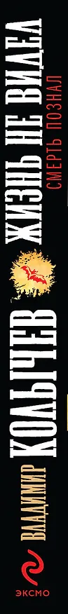 Книга Жизнь не видел, смерть познал: роман (Владимир Колычев) — 3