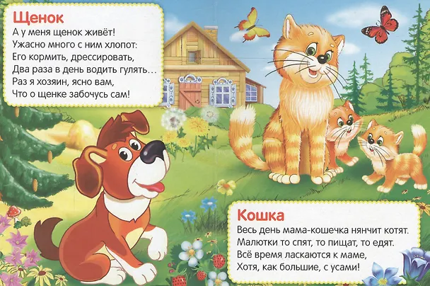 Книга Стихи о животных. (Марина Дружинина) — 3
