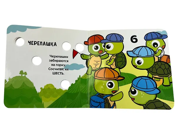 Книга Загляни в окошко! Цифры () — 12