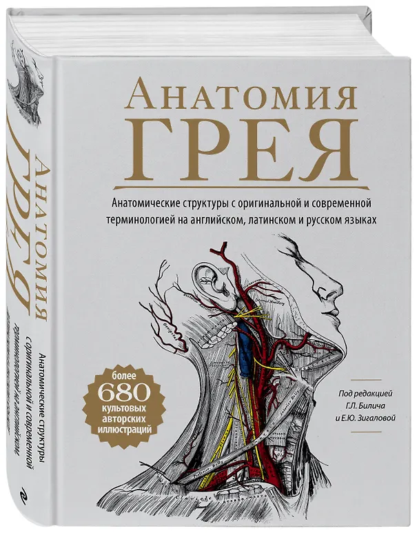 Книга Анатомия Грея. Анатомические структуры с оригинальной и современной терминологией на английском, латинском и русском языках (Габриэль Билич) — 4