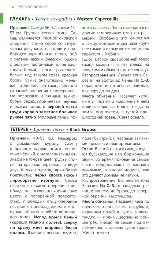 Книга Птицы Северо - Запада. Фотоопределитель (Владимир Храбрый) — 4