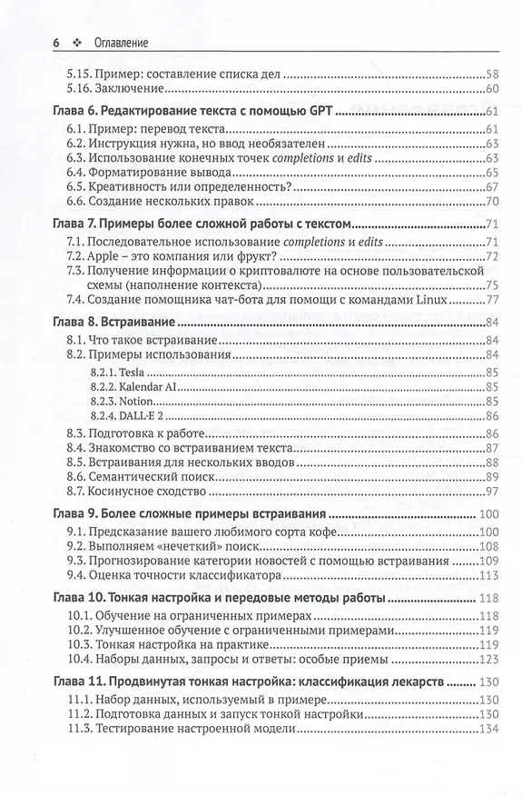 Книга GPT-3: программирование на PYTHON в примерах (Эль Амри Аймен) — 3