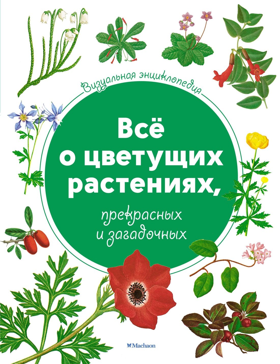 

Всё о цветущих растениях, прекрасных и загадочных. Визуальная энциклопедия