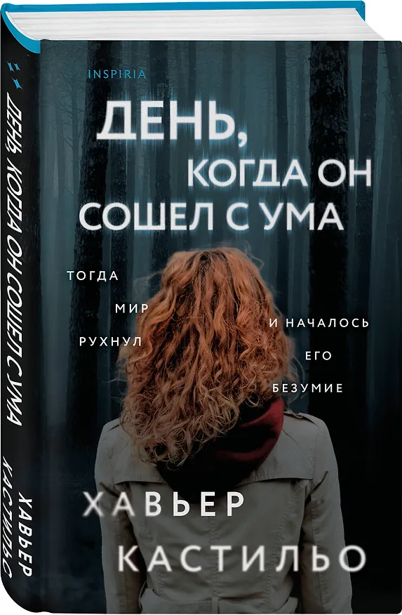 Книга День, когда он сошел с ума (Хавьер Кастильо) — 5
