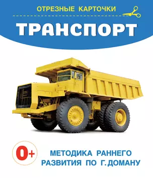 Транспорт. Отрезные карточки — 2985925 — 1