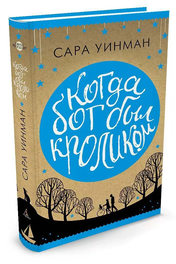 Книга Когда бог был кроликом (Сара Уинман) — 2