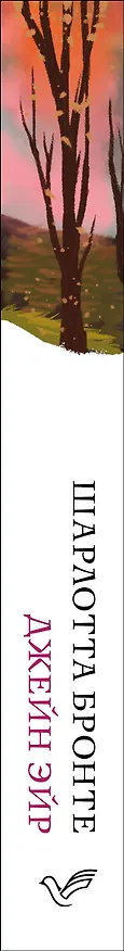 Книга Джейн Эйр (Шарлотта Бронте) — 3