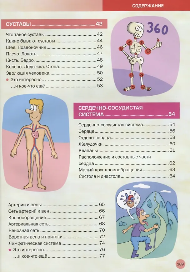 Книга Большая иллюстрированная энциклопедия. Все о теле человека () — 3