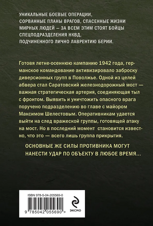 Книга Огненный мост (Александр Тамоников) — 2