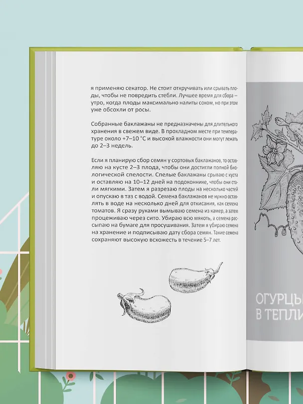 Книга Теплица без ошибок. Все, что нужно знать, чтобы получить ранний и богатый урожай (Виктория Радзевская) — 10