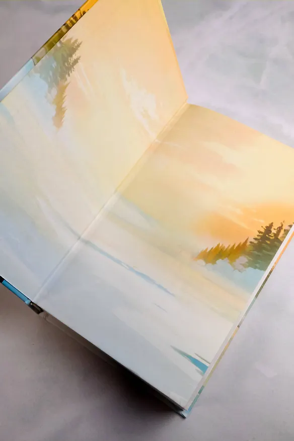 Книга Первым делом самолёты (Лада Шведова) — 13