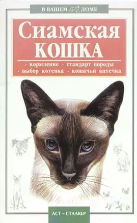 Сиамская кошка — 2058633 — 1