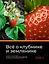 Все о клубнике и землянике. Семена и саженцы. Лучшие сорта для выращивания. Календарь основных работ — 2982853 — 1