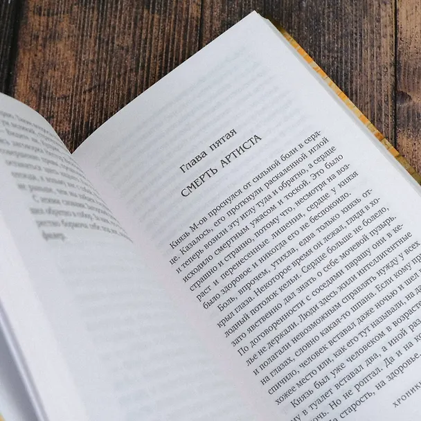 Книга Хроники преисподней (Анонимус) — 13