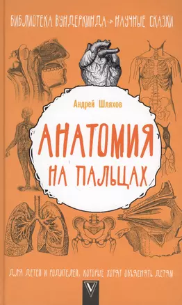 Анатомия на пальцах. Для детей и родителей, которые хотят объяснять детям — 2612941 — 1