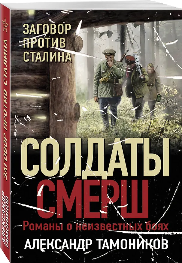 Книга Заговор против Сталина (Александр Тамоников) — 4