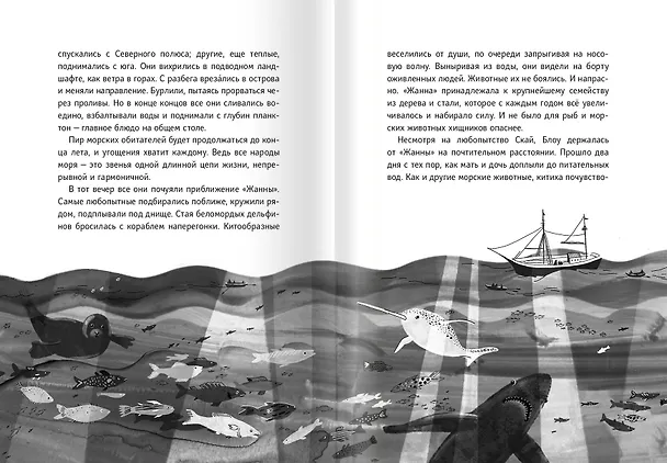 Книга Красный кит (Мишель Монмулине) — 5