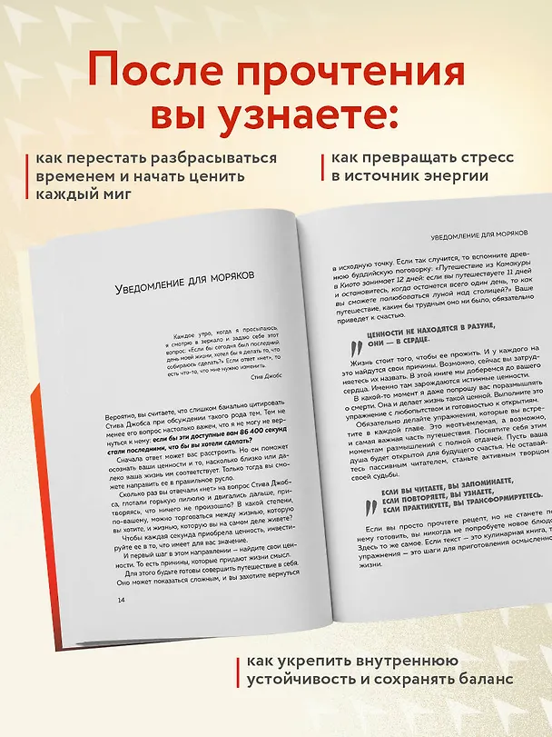Книга 86 400 секунд. Как управлять драгоценной валютой, которая лежит у нас на жизненном счету и обнуляется каждую ночь (Лука Маццучелли) — 7