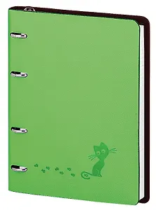 Тетрадь на кольцах в клетку InFolio, Froggy, 120 листов, зеленая