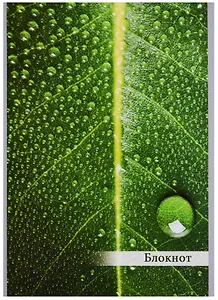 Блокнот А5 40 листов клетка "Эко стиль"