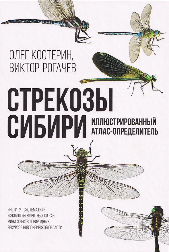 Книга Стрекозы Сибири: Иллюстрированный атлас-определитель () — 1