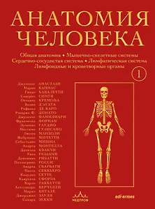 Анатомия человека. Эксклюзивное издание с 50-летней историей. Том 1