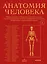 Анатомия человека. Эксклюзивное издание с 50-летней историей. Том 1 — 3127037 — 1