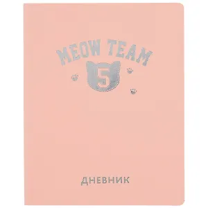 Дневник школьный Listoff, "Silver Lines. Meow"